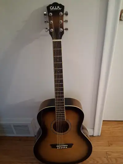 George Washburn Limited GWL45FTB3 Guitar, View more