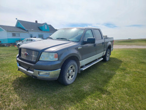 2004 Ford F 150