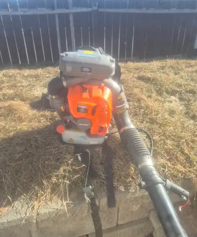 back pack blower (schroder), View more