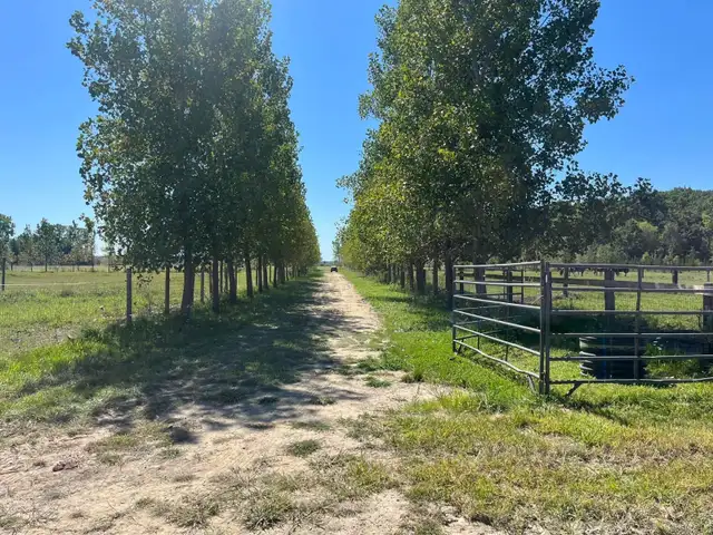 Beginner Horse Riding Lessons64141876798593124