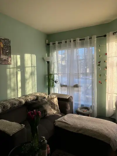 This cozy, furnished 1-bedroom, 1-bath condo is perfect for a single professional or a couple. Locat...