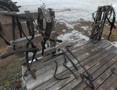 attelage pour chevaux 800-1200 lbs, View more