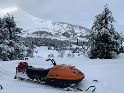 1986 Ski-Doo Tundra for sale for $1500 I also have a 1996 Ski-Doo Touring for sale for 4200