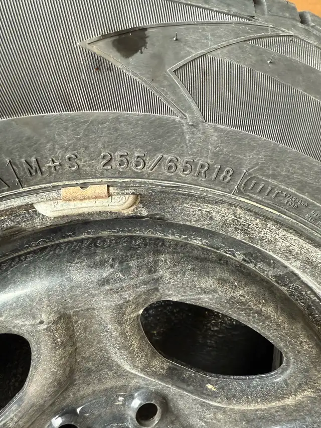 Snow Tires, Rims with Sensors in Tires & Rims in Cape Breton - Image 3