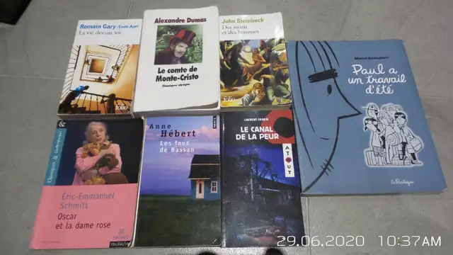 BOOKS - Novels