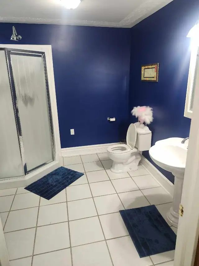 Handyman517607740062443522