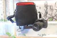 Canon ESO 77D w/ EFS 18-135mm lens & bag. (#4361)