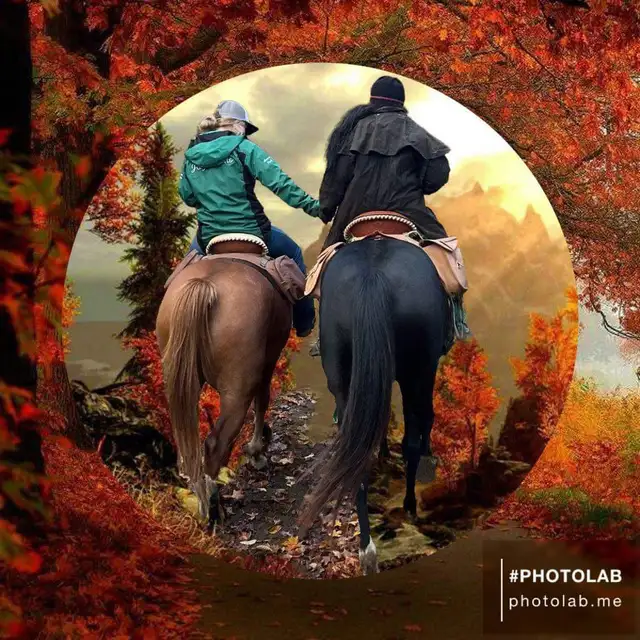 Horse boarding63611972880899121