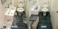 Commercial toilet clean - starting at only 40$