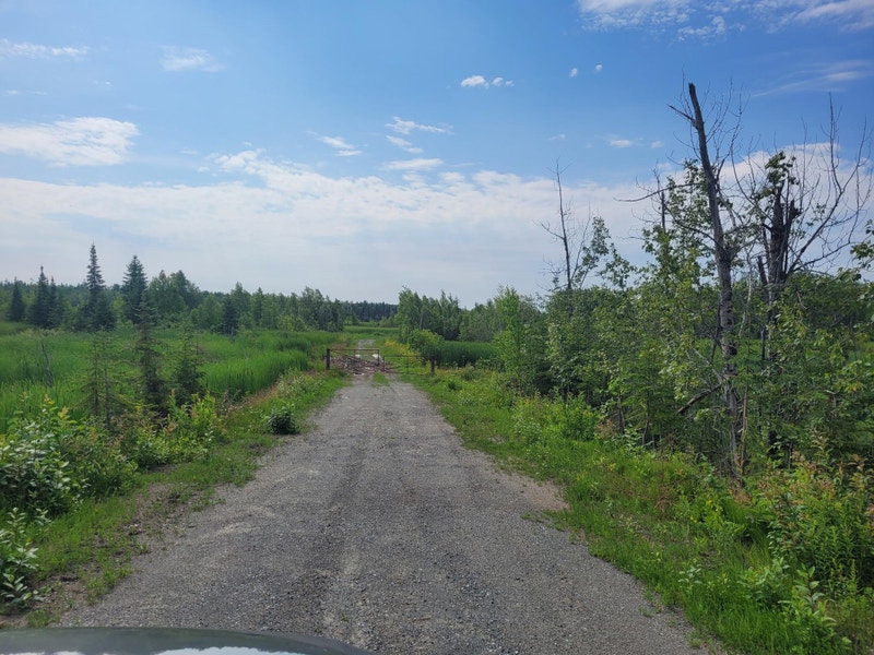10 acres Wooded Lot for only 25,000 Near Frederick House River Land