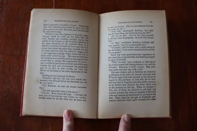 Wrecked But Not Ruined - By R.M. Ballantyne in Fiction in London - Image 7