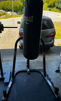 Punching Bag w/Stand