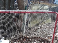 Hockey net 