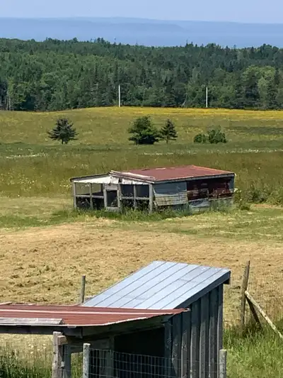 I am selling used chicken or turkey tractors that are perfect for providing a safe outdoor space for...