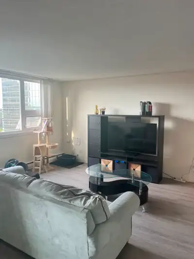 Room for rent in a two-bedroom apartment  $980 + utilities