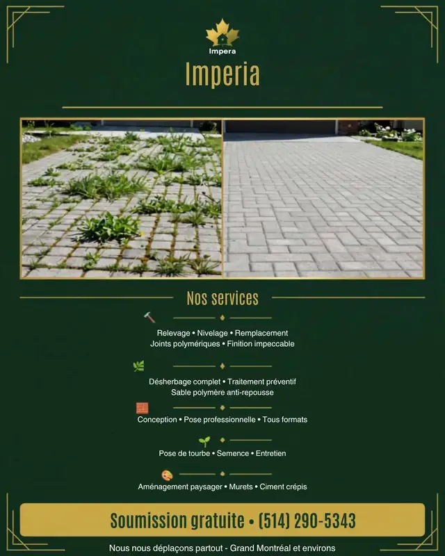 Interlocking Paver Repair and Installation538899677667010565