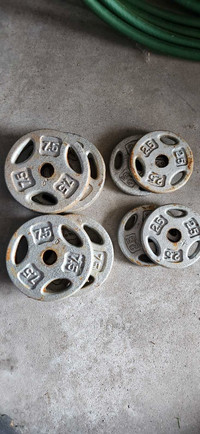 Weights plates