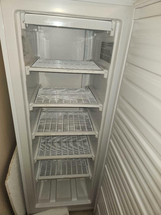 Frigidaire freezer in Freezers in Sarnia