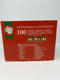 Christmas Outdoor Lights - Super Bright Lights - 100 lights