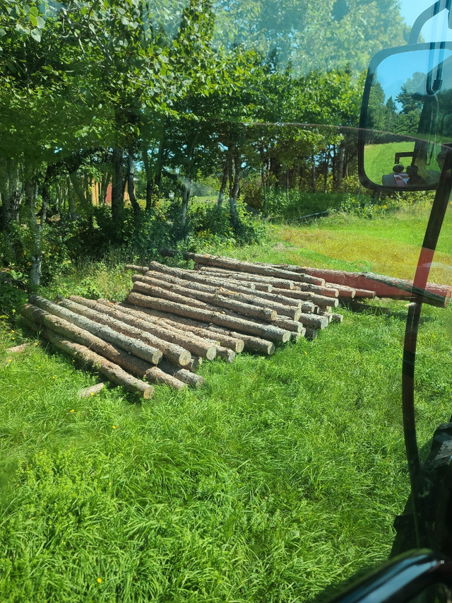 4x4 fence post 8ft wickes
