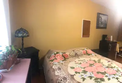 Exceptional, quiet, clean, safe, secure, fully furnished pet friendly room with housekeeping, near S...