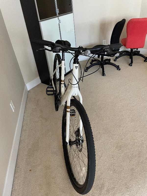 kijiji trek bike