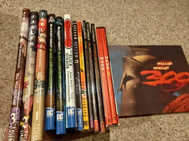 DC Comics and Graphic Novel Collection in Comics & Graphic Novels in Kingston - Image 4