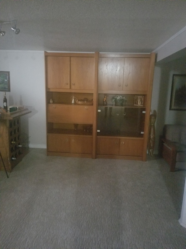 Lovely Teak (adjustable) wall unit in Hutches & Display Cabinets in Norfolk County - Image 2