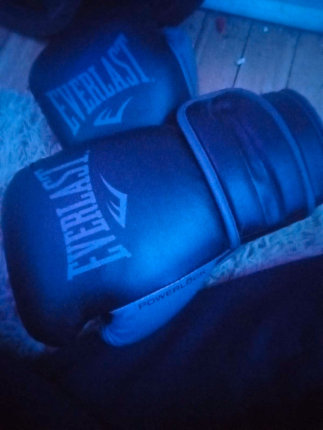Boxing gloves in Exercise Equipment in Thunder Bay