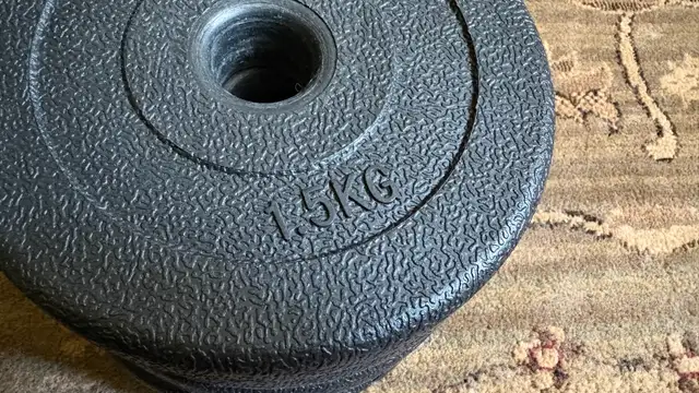 Weight plates (disks) in Exercise Equipment in City of Toronto - Image 4