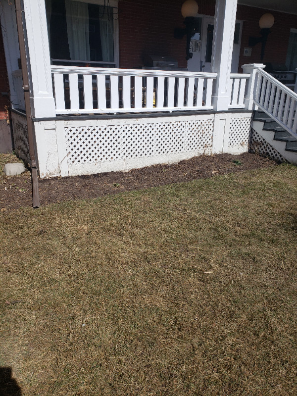 Affordable lawn care for SW & SE Calgary in Lawn, Tree Maintenance & Eavestrough in Calgary - Image 3