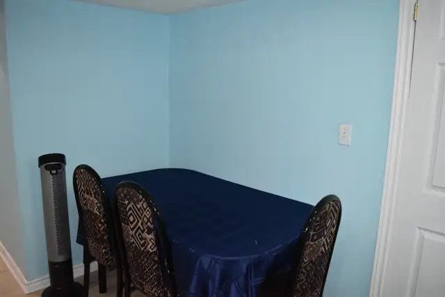 Looking for two female students in Room Rentals & Roommates in Oshawa / Durham Region - Image 9