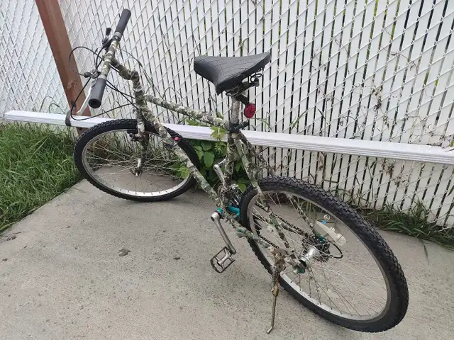 My bike full serviced 20.5 inch Need some small repairs but stil in Mountain in Edmonton - Image 2