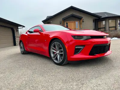 All the top tier 2SS options with the following added. -6-piston front brake kit with Brembo red bra...