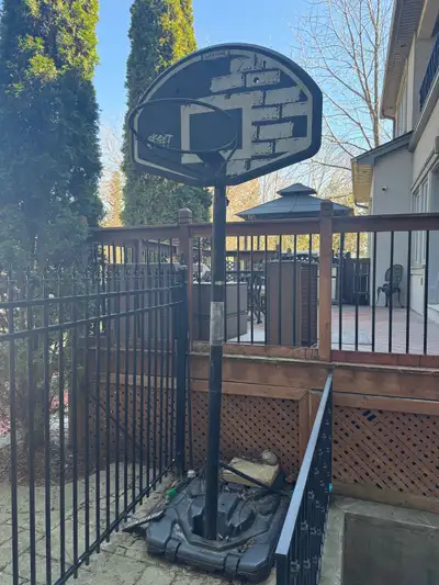 Lifetime Basketball Net, View more