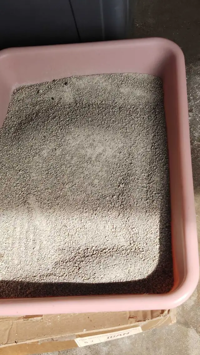 Cat Litter Box in Accessories in St. Catharines - Image 3
