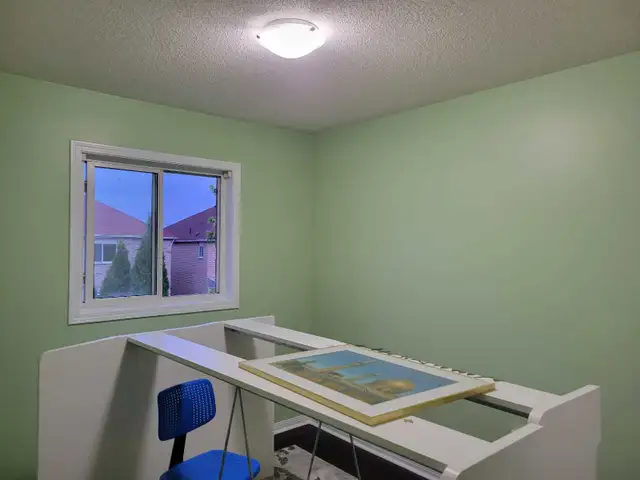 House and Condo Painter596423643990609921