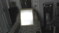 Gold embossed mirror