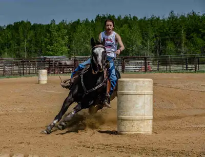 Finished 2D/3D AQHA Gelding, View more