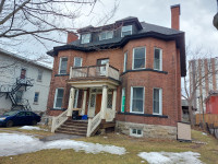 1 Bedroom Sandy Hill Apartment for Rent (259 Daly Ave)