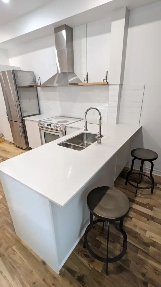 furnished 3 bedroom all inclusive near McGill in the Plateau