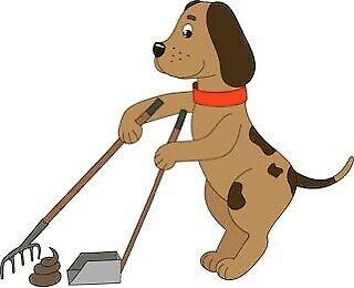 DOG WASTE, POO, POOP, YARD, LAWN SPRING CLEAN UP in Animal & Pet Services in Guelph - Image 3