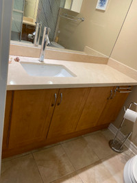 Bathroom Vanity with sink,  cabinets, countertop, faucet, mirror
