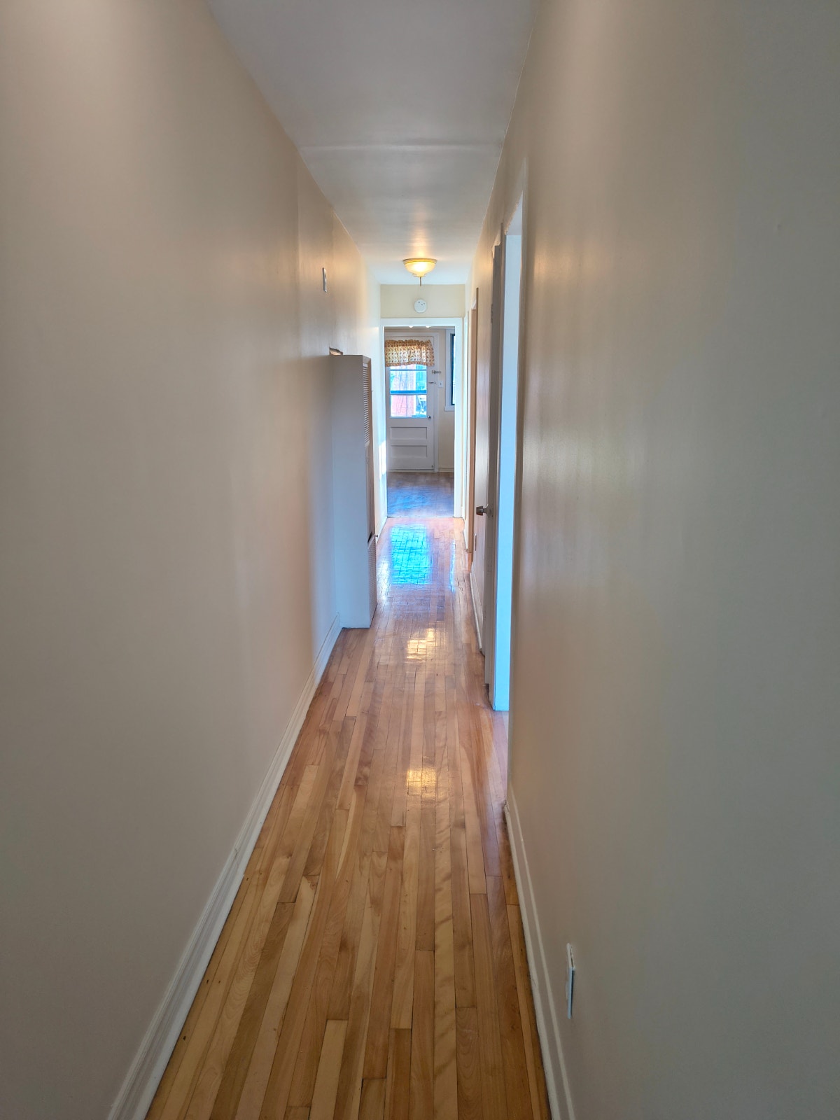 4 1/2 freshly painted with fridge and stove! — photo 1