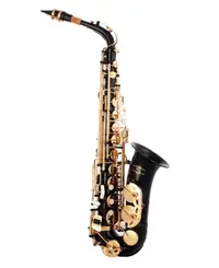 Alto Saxophone, Brand New, Black Color