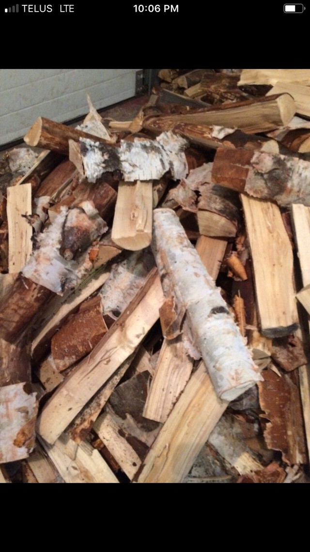 4 Huge Bags Dry Birch Firewood+Kindle+Free Delivery$180 in BBQs & Outdoor Cooking in St. Albert - Image 3
