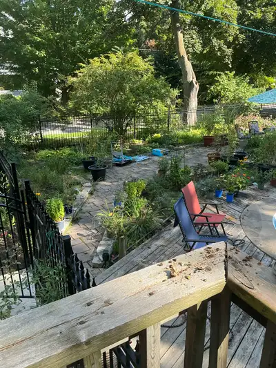 garden labour, View more