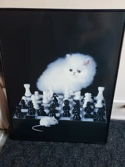 CADRES DE CHATS DE DIFFÉRENTES GRANDEURS, View more