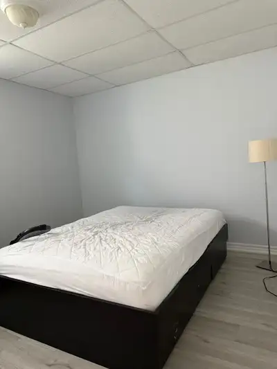 Walkout Rental Basement Apartment