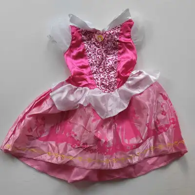 Princess Aurora's Dress, View more